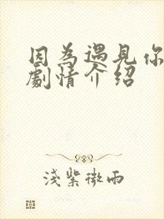 因为遇见你分集剧情介绍