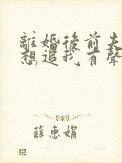 离婚后前夫总是想追我有声