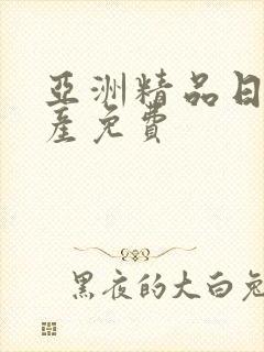 亚洲精品日韩国产免费