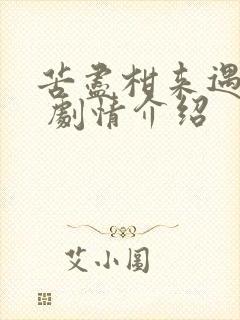 苦尽柑来遇见你 剧情介绍