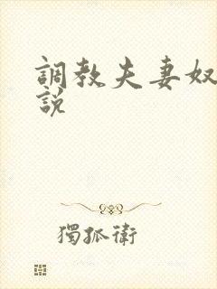 调教夫妻奴的小说