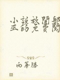 小说放开那个女巫的免费阅读