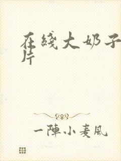 在线大奶子一级片