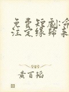 免费短剧:命中注定缘归来