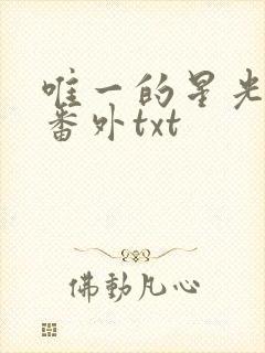 唯一的星光全文番外txt