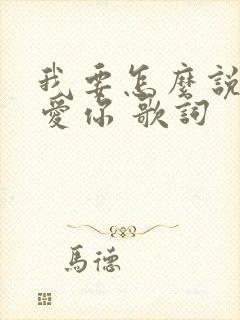 我要怎么说我不爱你 歌词