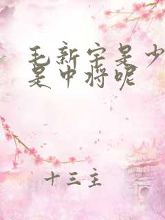 毛新宇是少将还是中将呢