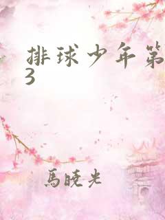 排球少年第二季3