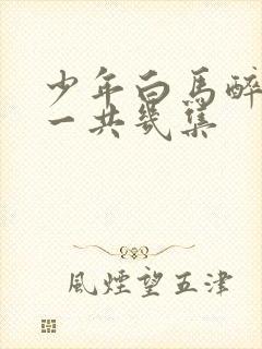 少年白马醉春风一共几集