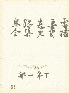 半路夫妻电视剧全集免费播放