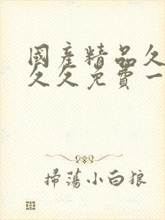 国产精品久久久久久免费一级