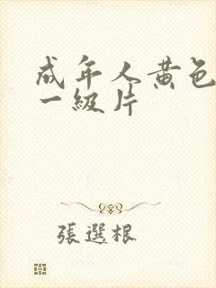 成年人黄色录像一级片