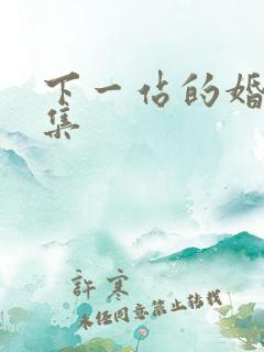 下一站的婚姻全集