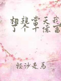 相亲当天我闪婚了个千亿富翁