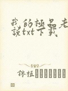 我的极品老婆小说txt下载