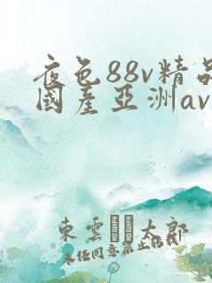 夜色88v精品国产亚洲av