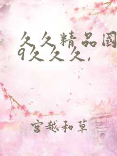 久久精品国产99久久久,