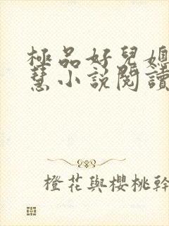 极品好儿媳李佳慧小说阅读全文