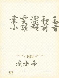 袁雯洁和王子枫小说超前看