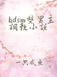 bdsm双男主调教小说