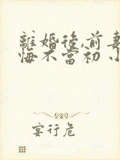 离婚后,前妻她悔不当初 小说