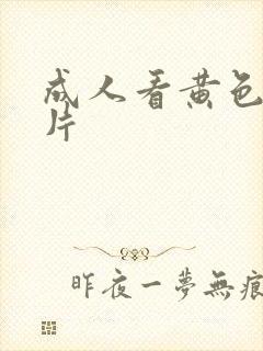 成人看黄色一级片