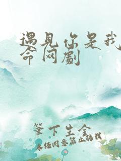 遇见你是我的宿命网剧