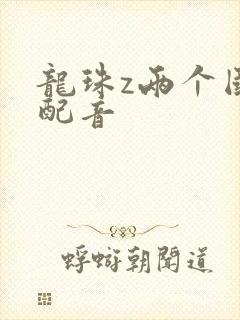 龙珠z两个国语配音