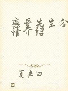 恋爱先生分集剧情介绍