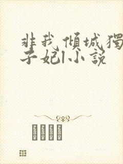 非我倾城独宠太子妃l小说