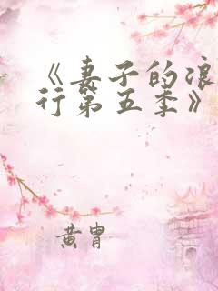 《妻子的浪漫旅行第五季》