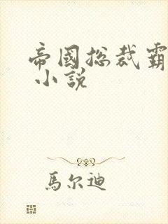 帝国总裁霸道宠 小说