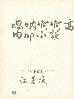 嗯呐啊啊高h纯肉np小说