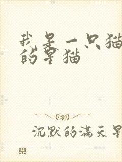 我是一只猫快乐的星猫
