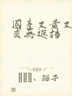 国产又黄又色又爽无遮挡