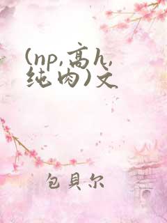 (np,高h,纯肉)文