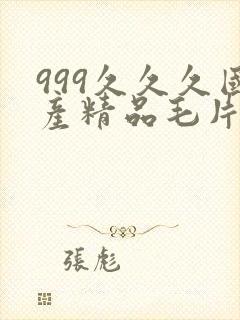 999久久久国产精品毛片