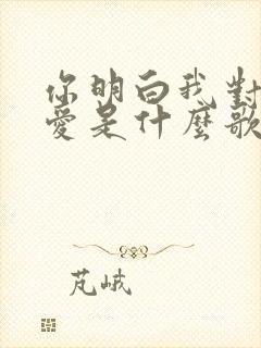 你明白我对你的爱是什么歌