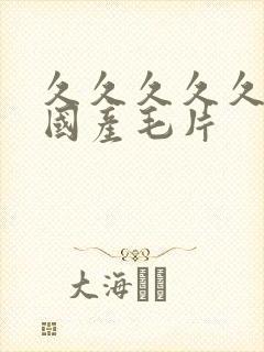 久久久久久精品国产毛片