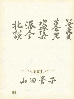 北派盗墓笔记小说全集免费看