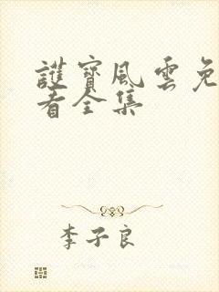 护宝风云免费观看全集