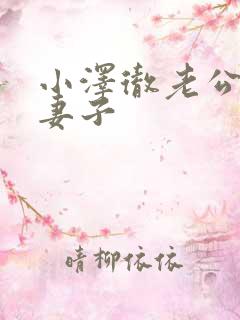 小泽彻老公原谅妻子