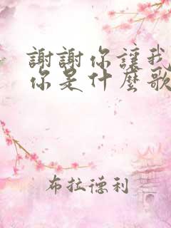 谢谢你让我遇见你是什么歌名的歌词