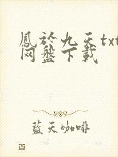 凤于九天txt网盘下载