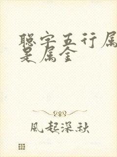 聪字五行属水还是属金