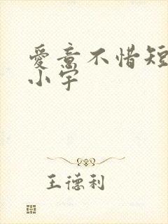 爱意不惜短剧马小宇