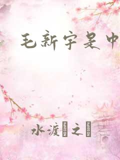 毛新宇是中将吗