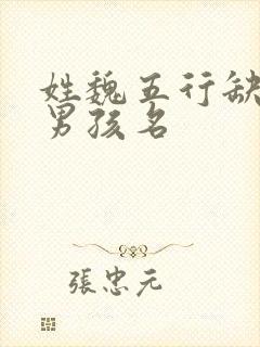 姓魏五行缺金的男孩名