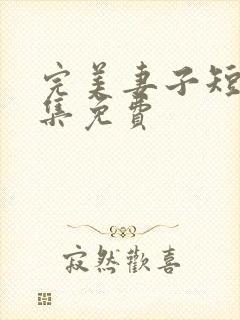 完美妻子短剧全集免费