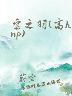 云之羽(高h,np)